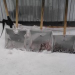 А знаете ли вы что? :) При уборке снега в пригородном алюминиевые лопаты за 1 месяц стираются на 5 см :)